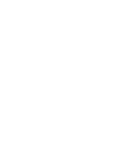 Logo Havana